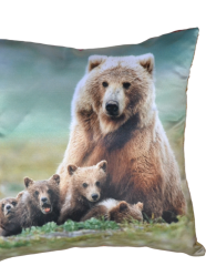 Подушка с фотопечатью Медведи